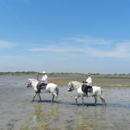 Mas De La Grenouillere Hotel Et Centre Equestre En Pleine Nature Saintes-Maries-de-la-Mer Exteriér fotografie