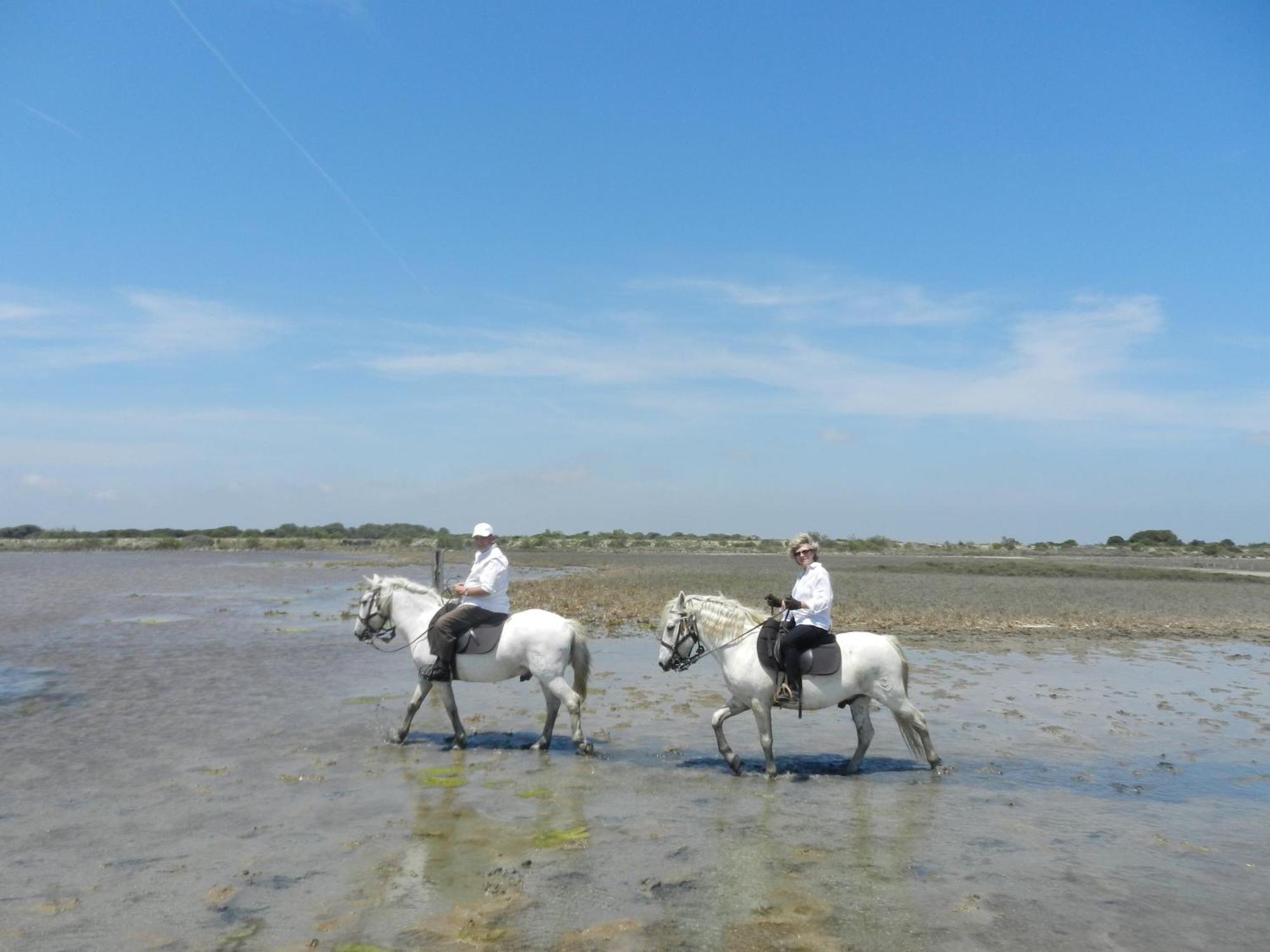 Mas De La Grenouillere Hotel Et Centre Equestre En Pleine Nature Saintes-Maries-de-la-Mer Exteriér fotografie